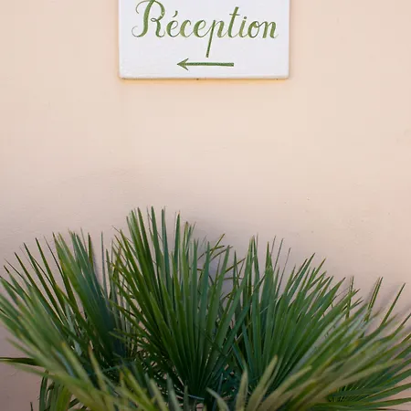 Cosy, & 5* סן טרופז